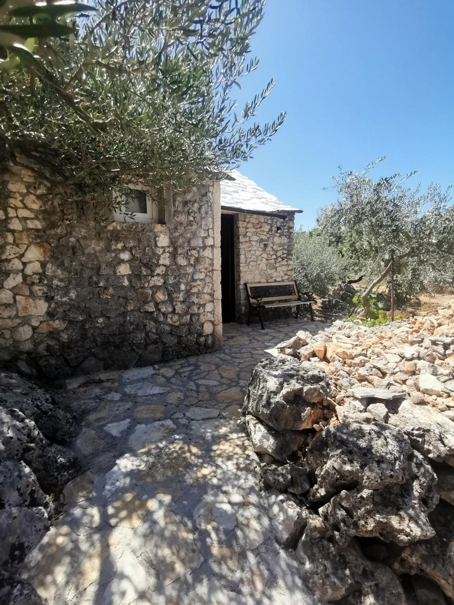 Vila Robinson Crusoe Style House "Maslina" Škrip Exteriér fotografie